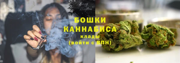 apvp Богданович