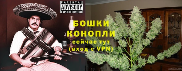 apvp Богданович