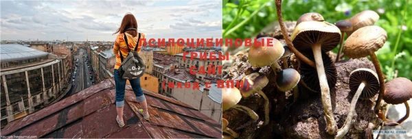кокаин VHQ Богородицк