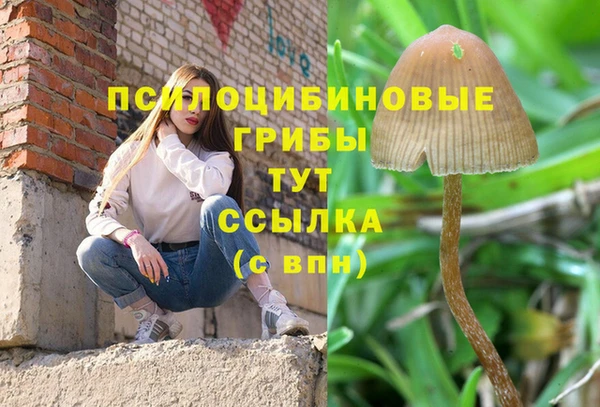 apvp Богданович